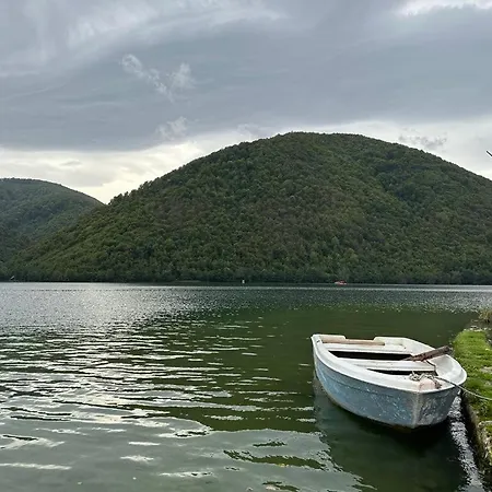 Dani Jajce